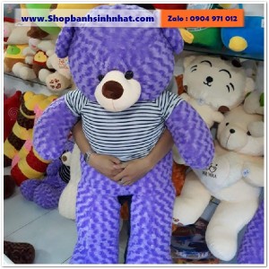 Gấu Bông Teddy Hàn Quốc - GAU15